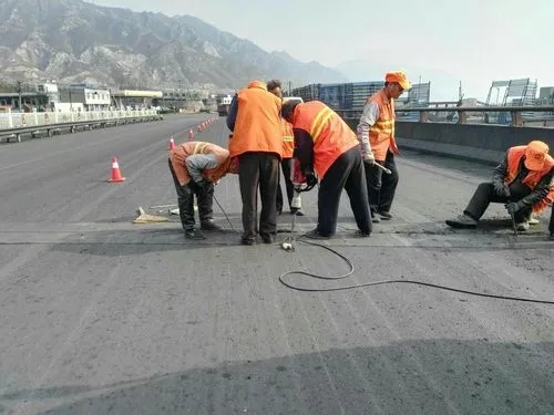 阜平道路桥梁病害治理